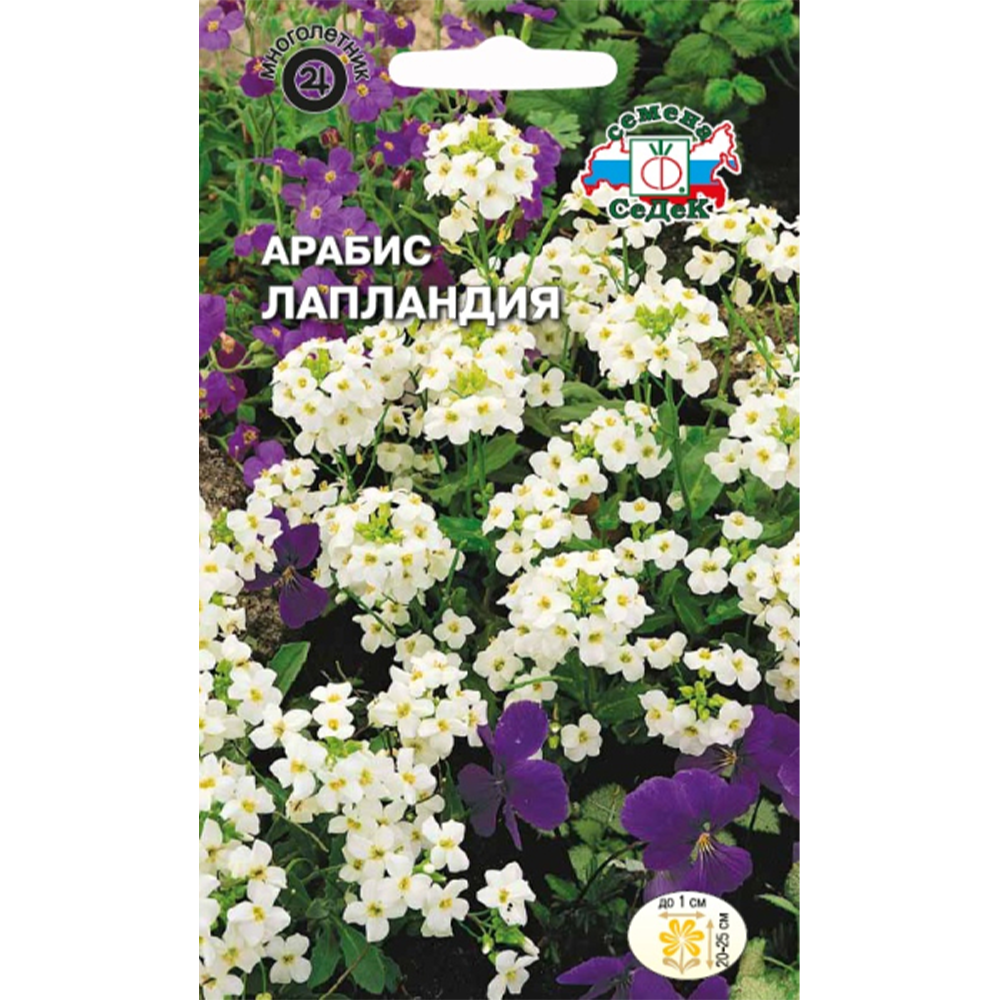 Арабис "Лапландия" альпийский белый