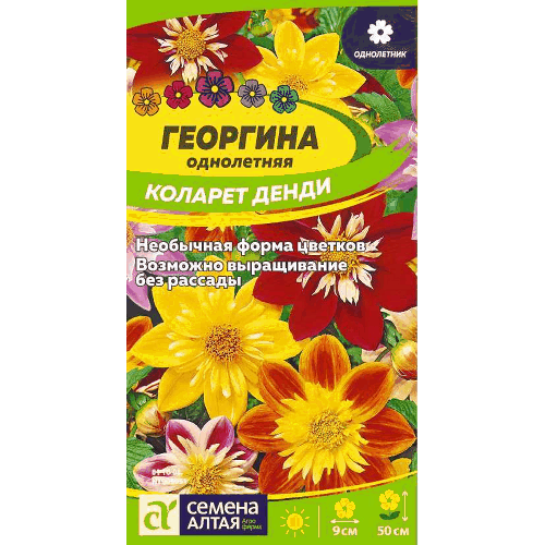Георгина Коларет Денди Семена Алтая, 300 мг