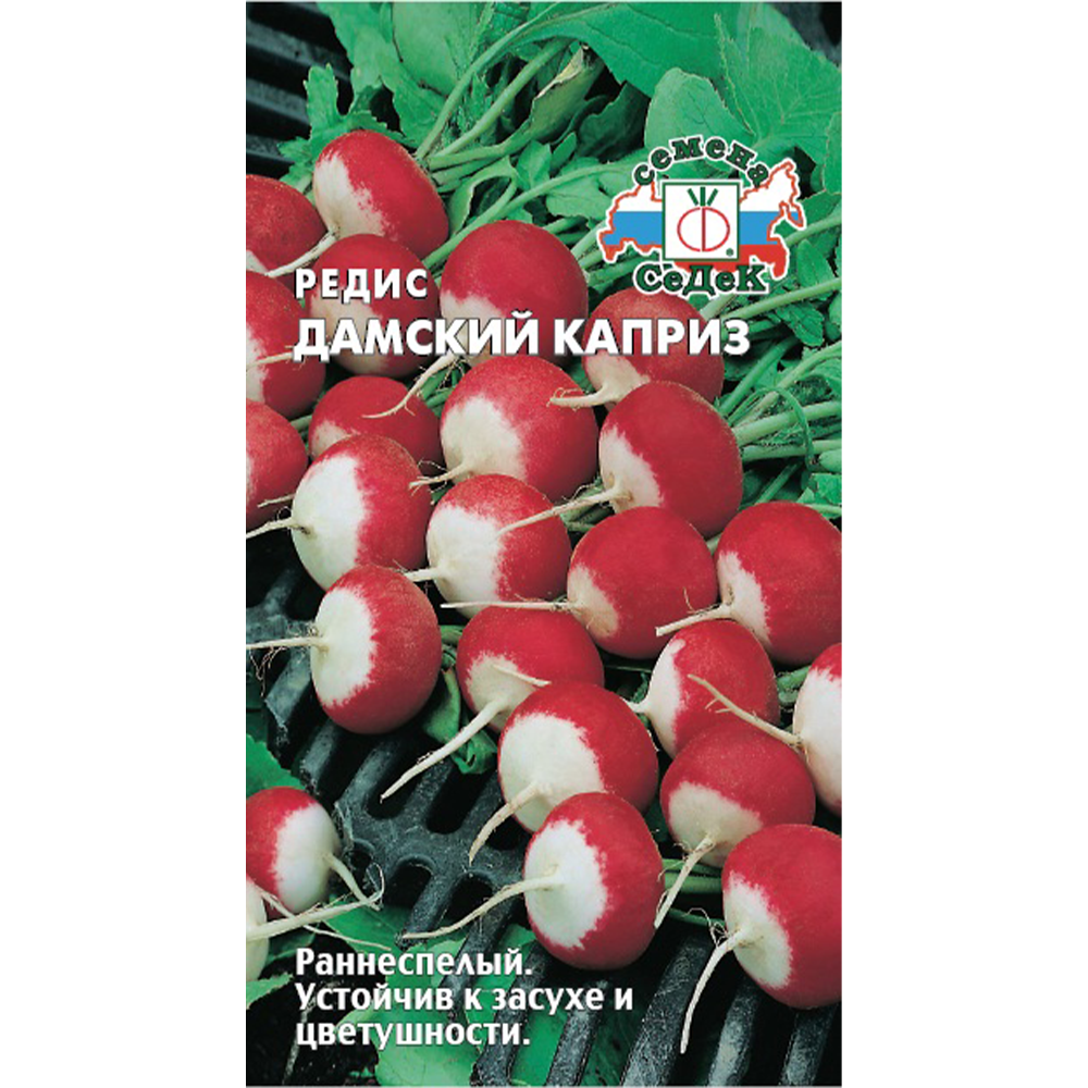 Редис "Дамский каприз", Седек