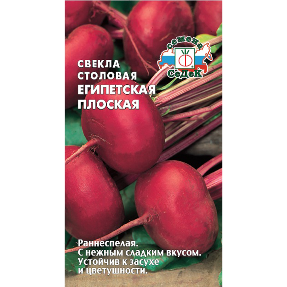 Свекла "Египетская Плоская", Седек