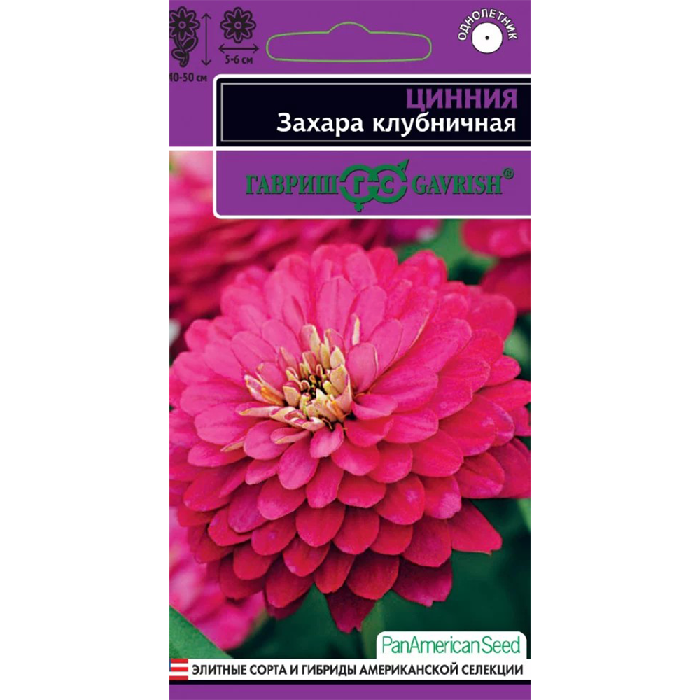 Цинния "Захара" клубничная, 6 шт