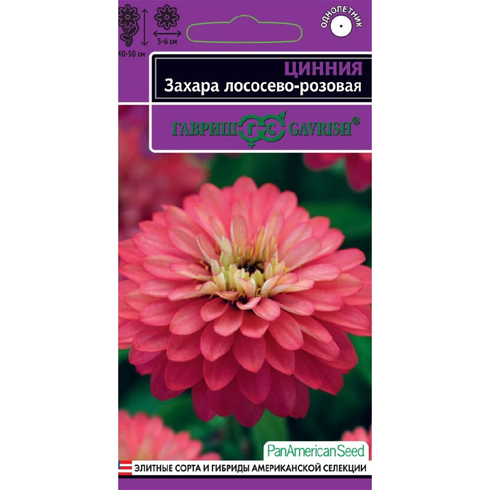 Цинния "Захара" лососево-розовая, 6 шт