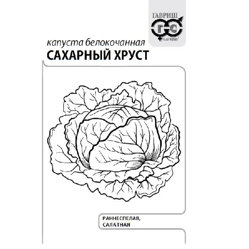 Капуста белокочанная "Сахарный хруст", Гавриш