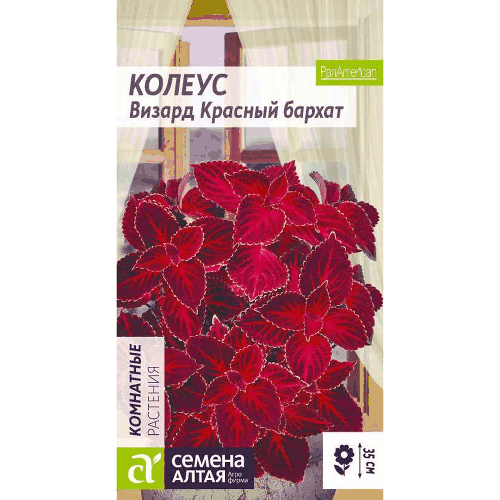 Колеус Визард Красный бархат Семена Алтая, 10 шт
