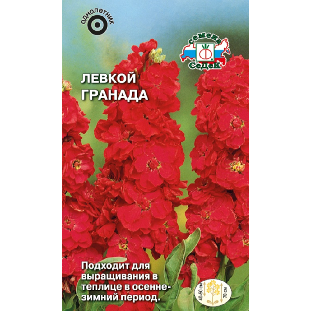 Левкой "Гранада"