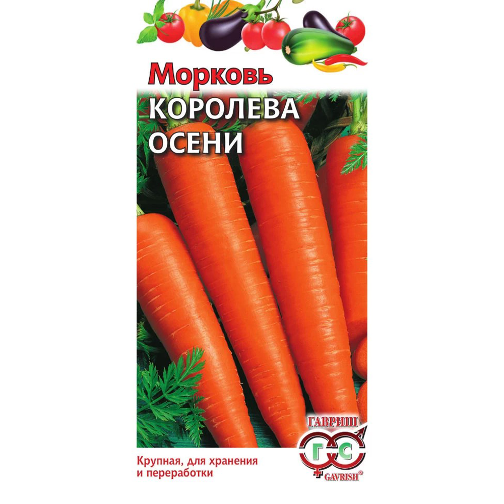 Морковь Королева осени Гавриш, 2 гр