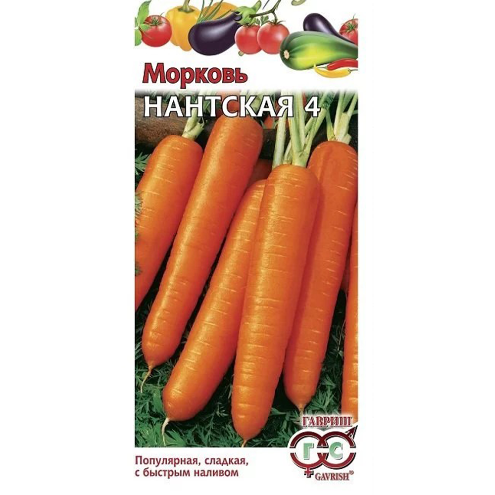 Морковь Нантская 4 Гавриш, 2 гр