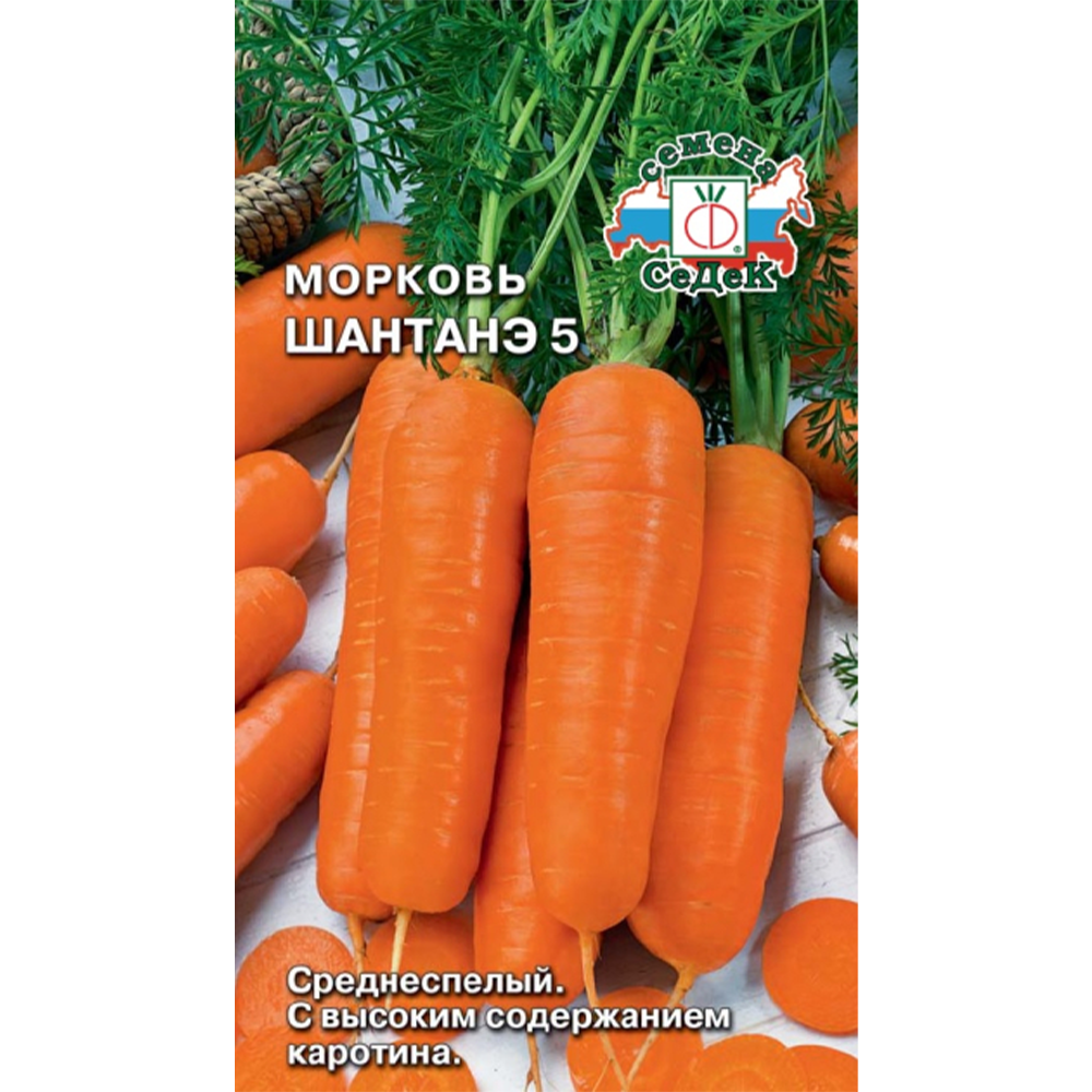 Морковь "Шантанэ"