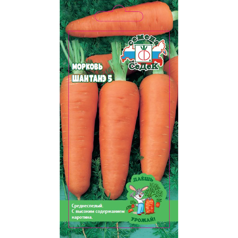 Морковь "Шантанэ 5", 1 г