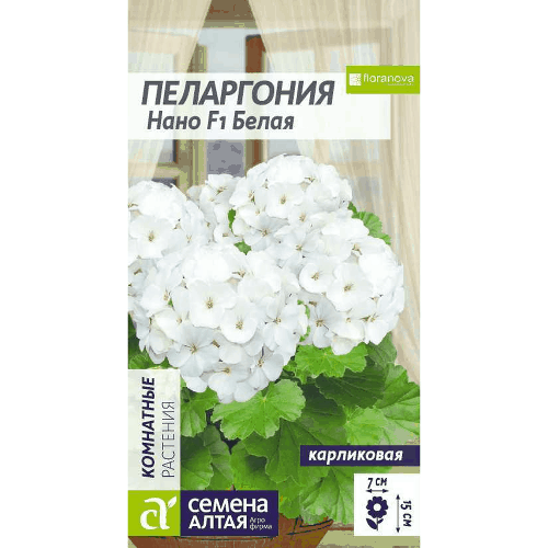 Пеларгония нано Белая Семена Алтая, 3 шт