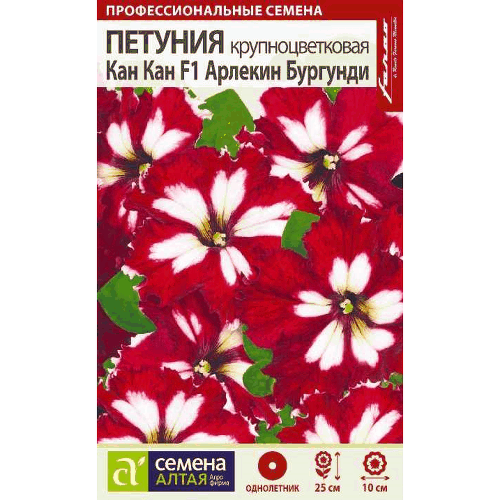 Петуния "Кан Кан Арлекин Бургунди" Семена Алтая, 10 шт