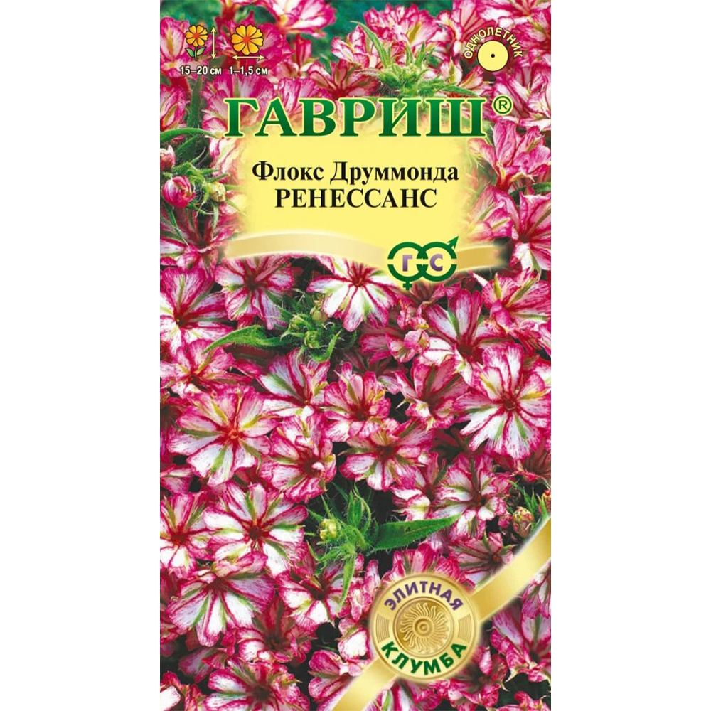 Флокс "Ренессанс", 8 шт