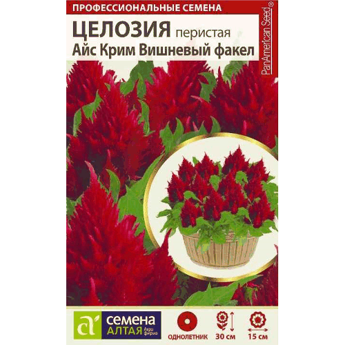 Целозия "Айс Крим Вишневый факел" Семена Алтая, 10 шт