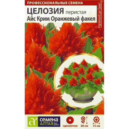 Целозия "Айс Крим Оранж факел" Семена Алтая, 10 шт