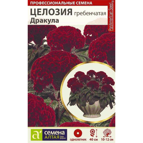 Целозия "Дракула гребенчатая" Семена Алтая, 3 шт