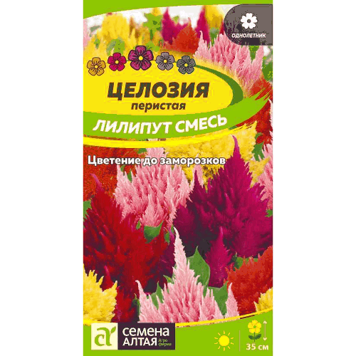 Целозия "Лилипут смесь Перистая" Семена Алтая, 100 мг