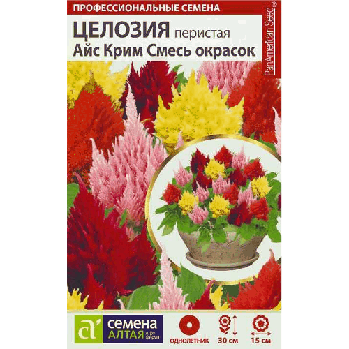 Целозия "Айс Крим Смесь" Семена Алтая, 10 шт