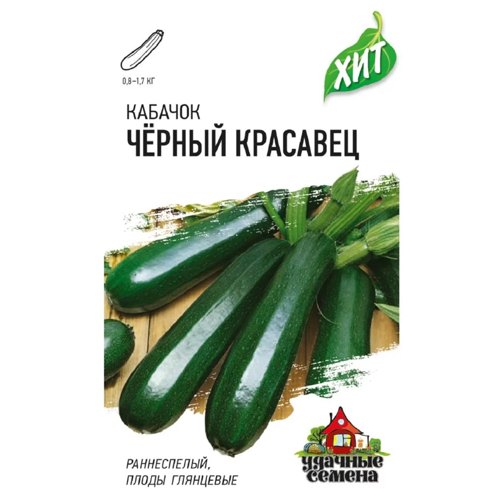 Кабачок Черный красавец Гавриш