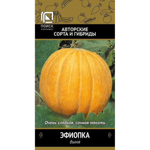 Дыня Эфиопка 15 шт Поиск