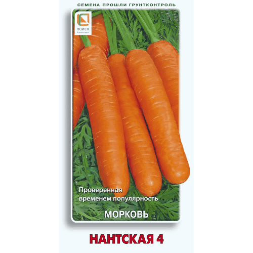 Морковь Нантская 4 Поиск, 2 гр