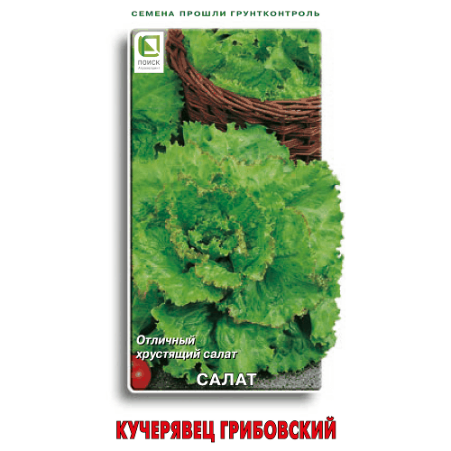 Салат Кучерявец Грибовский 1 гр Поиск