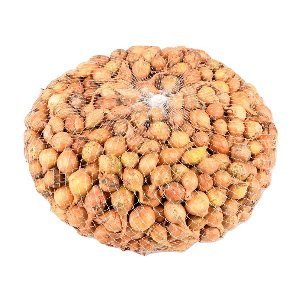 Лук-севок "Дедуля", 500 г