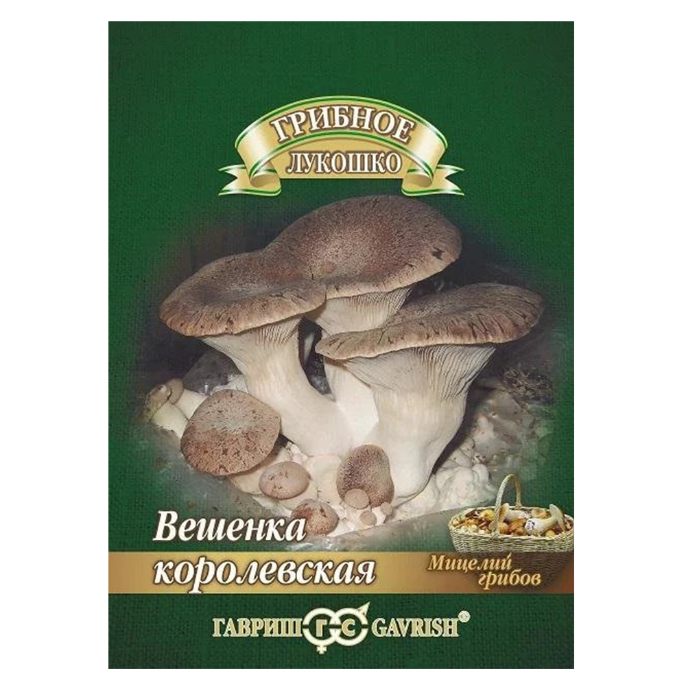 Вешенка Королевская, 12 шт, гавриш