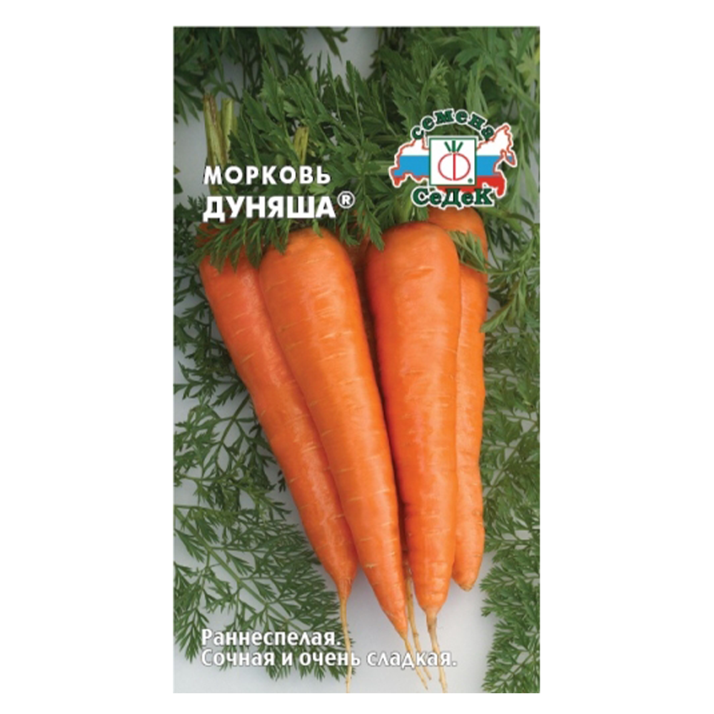 Морковь "Дуняша", Седек