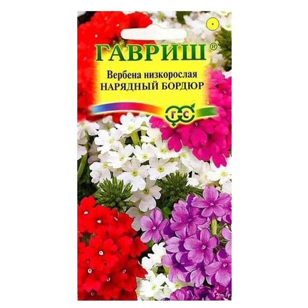 Вербена "Нарядный бордюр", Гавриш