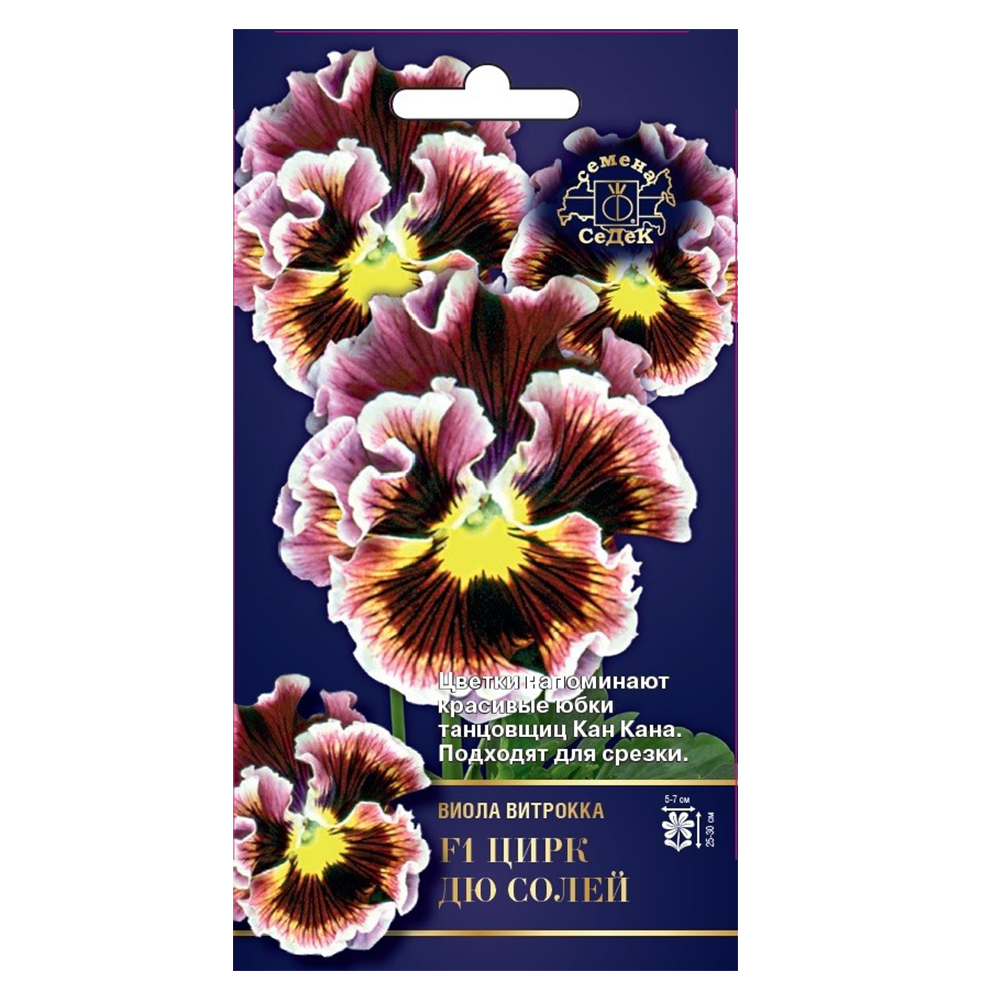Виола Цирк дю Солей, Седек