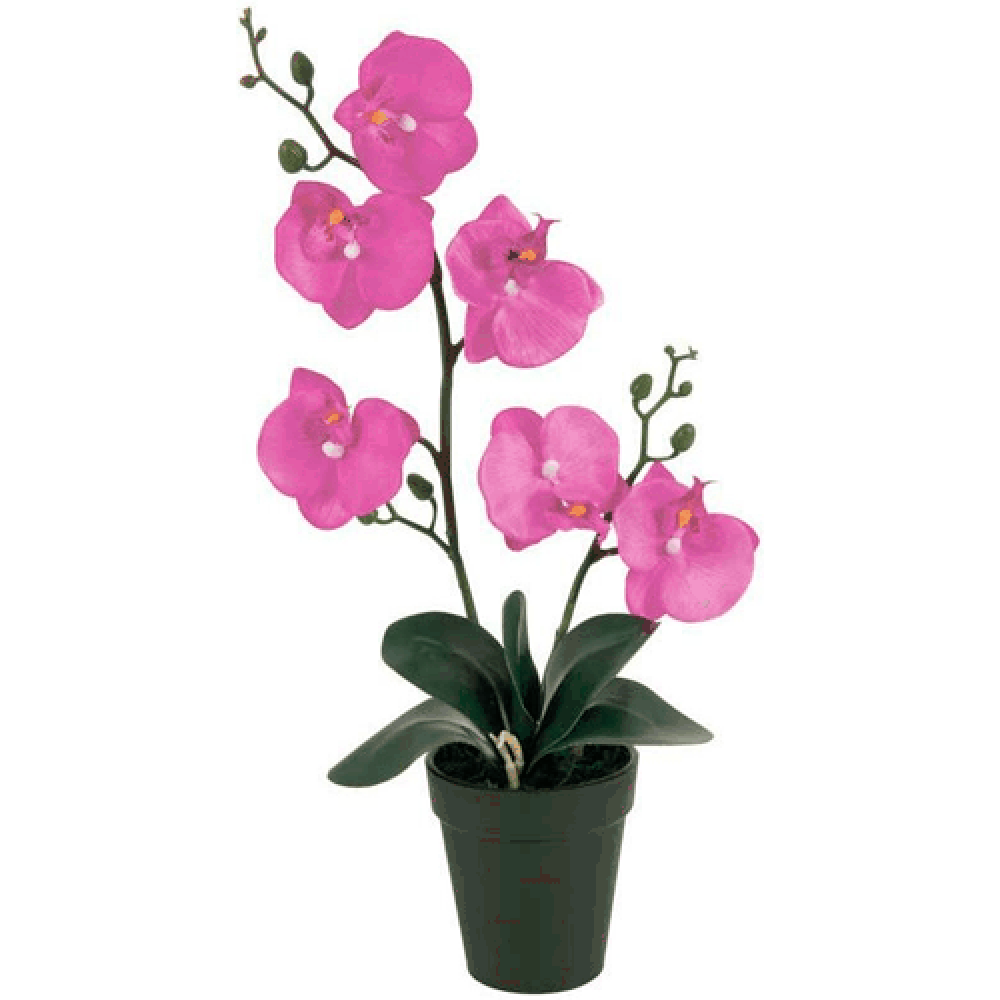 Цветок в горшке "Орхидея №2"