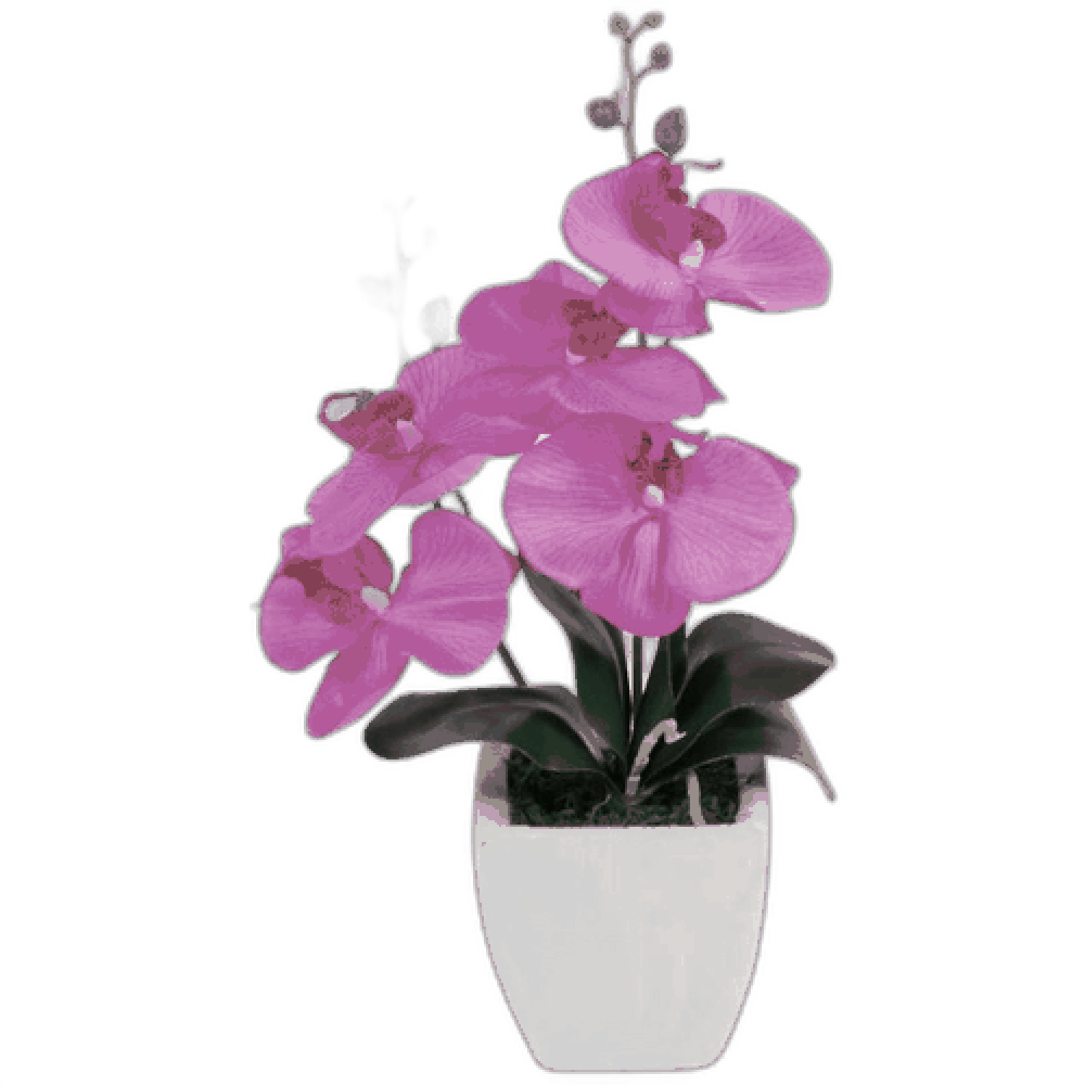 Цветок в горшке "Орхидея №4"