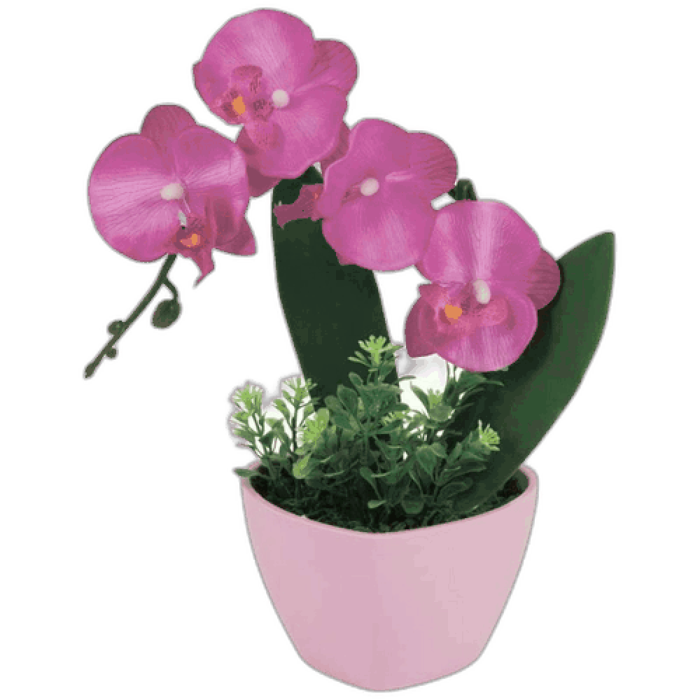 Цветок в горшке "Орхидея №5"