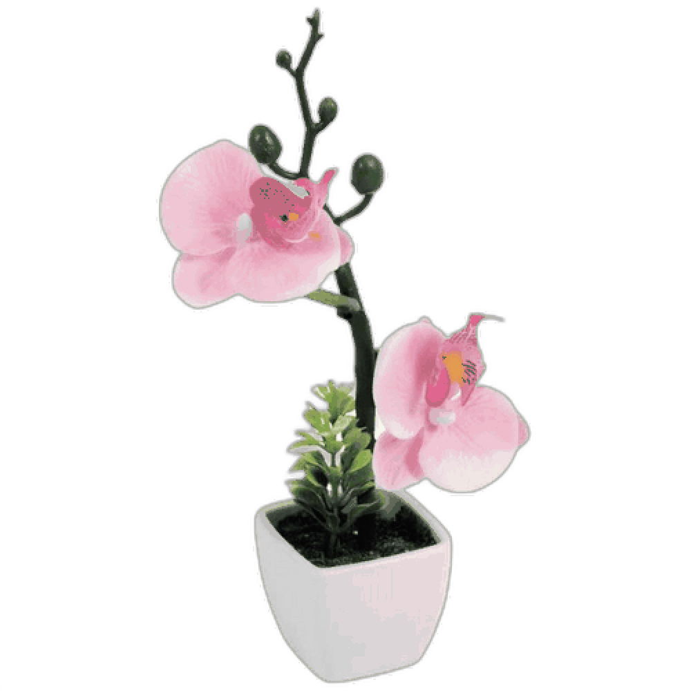 Цветок в горшке "Орхидея №6"