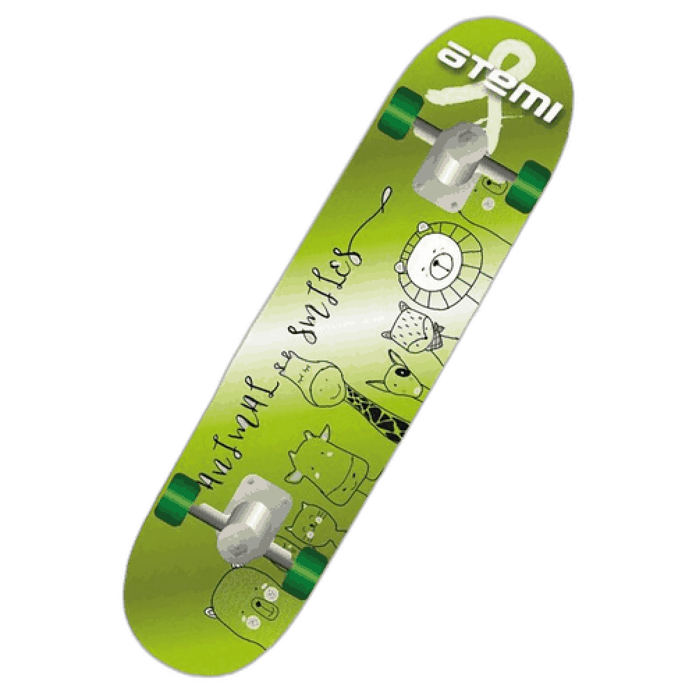 Скейтборд Atemi ASB24D01, 24 x 6 см