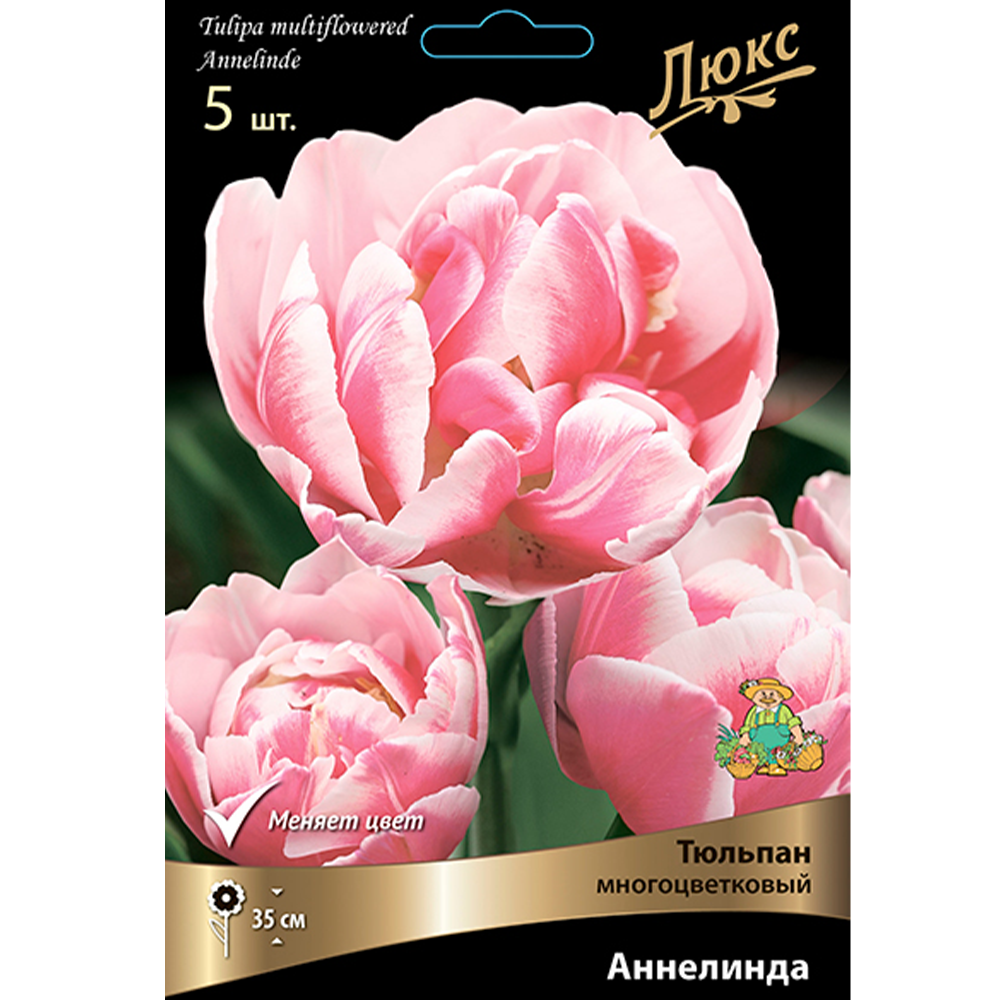 Тюльпан Многоцветковый "Аннелинда", 5 шт, Поиск
