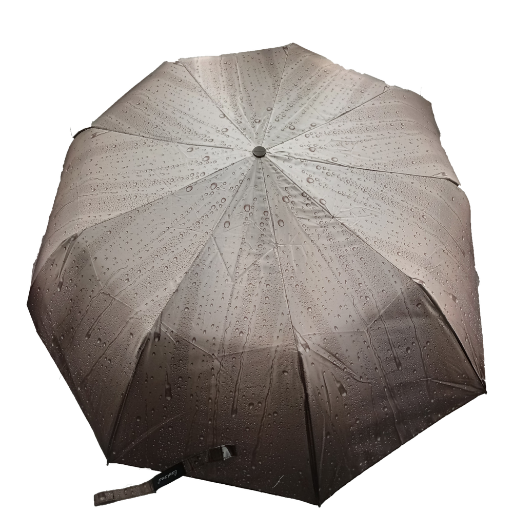 Зонт женский "Lantana", автомат
