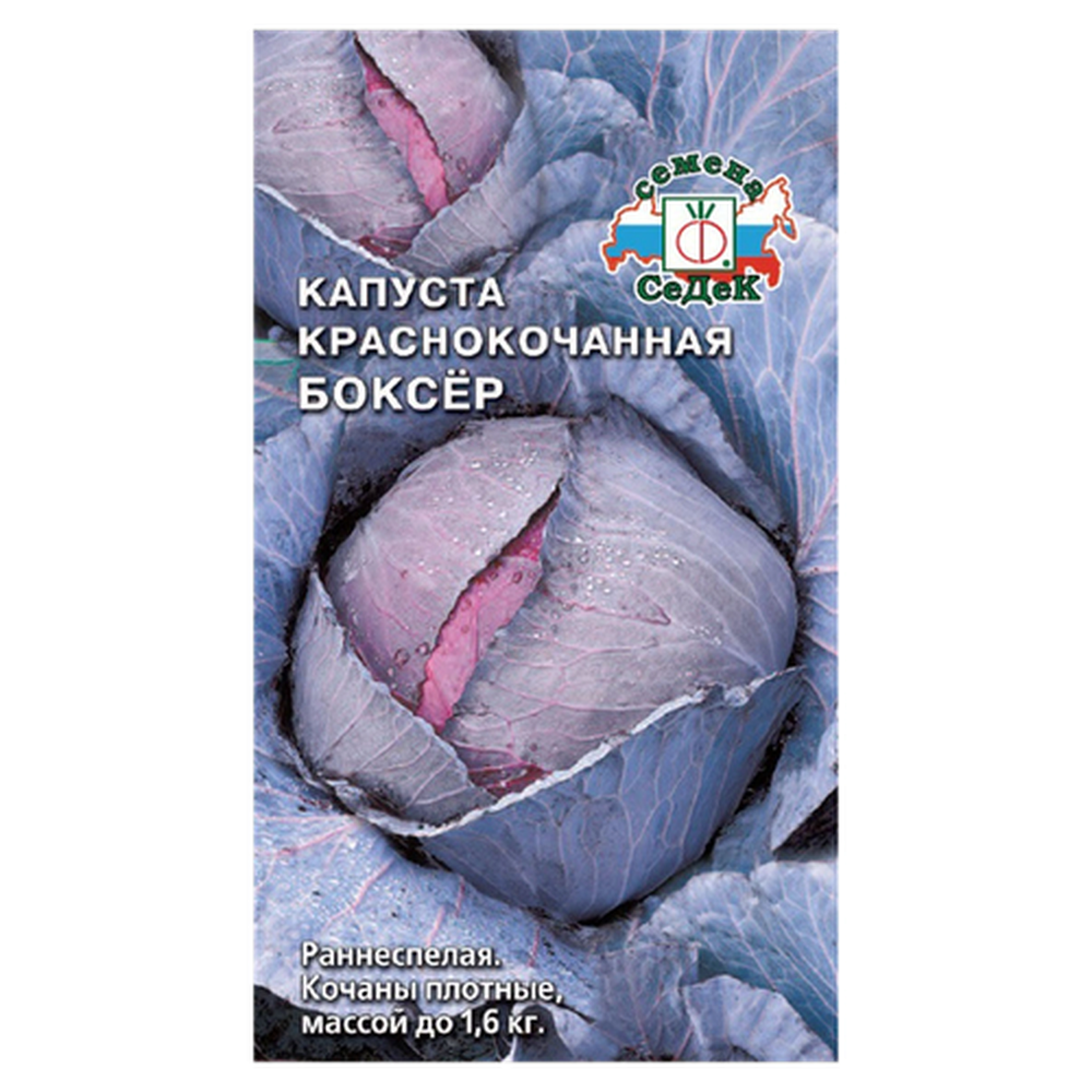 Капуста краснокачанная "Боксер" Седек