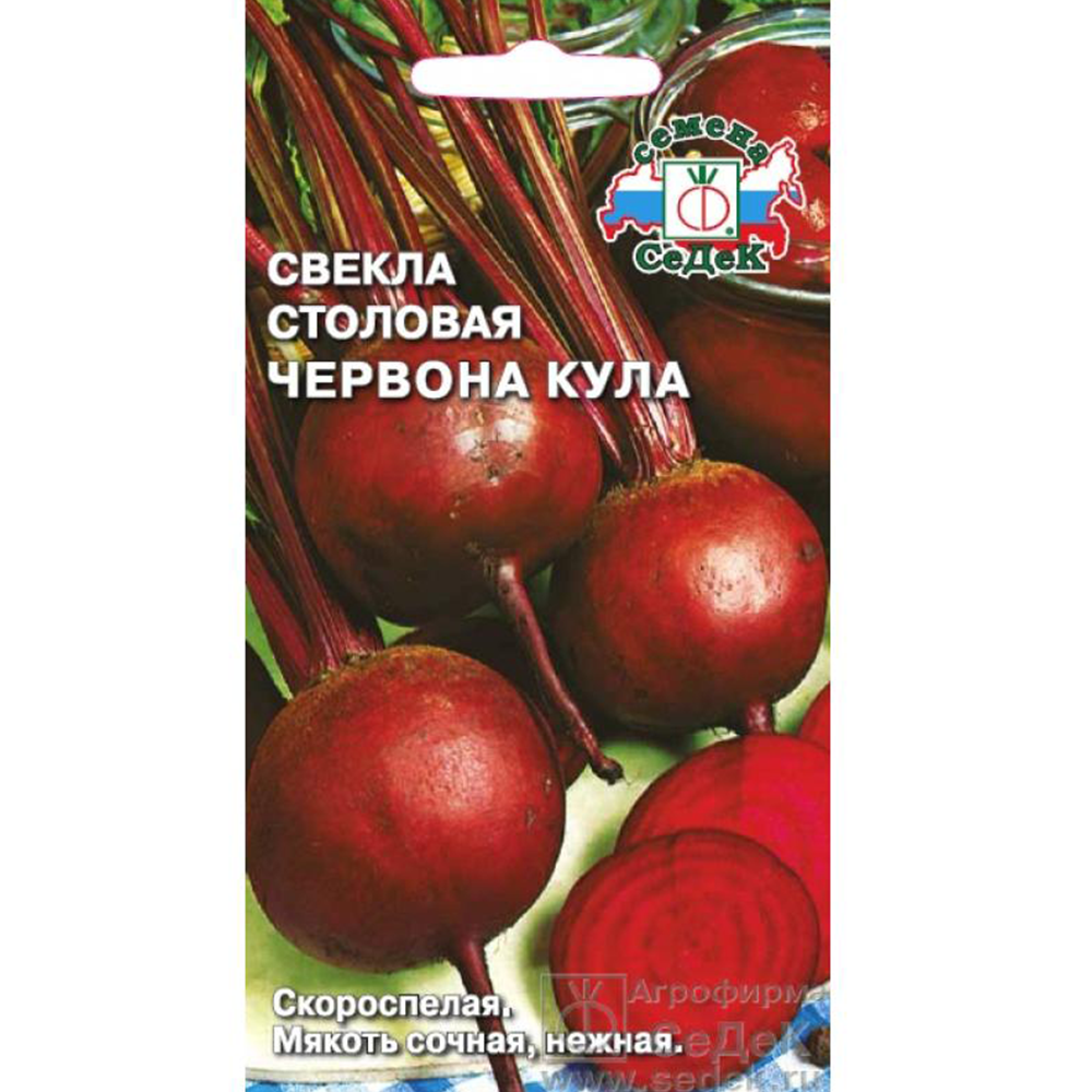 Свекла "Червона Кула", Седек