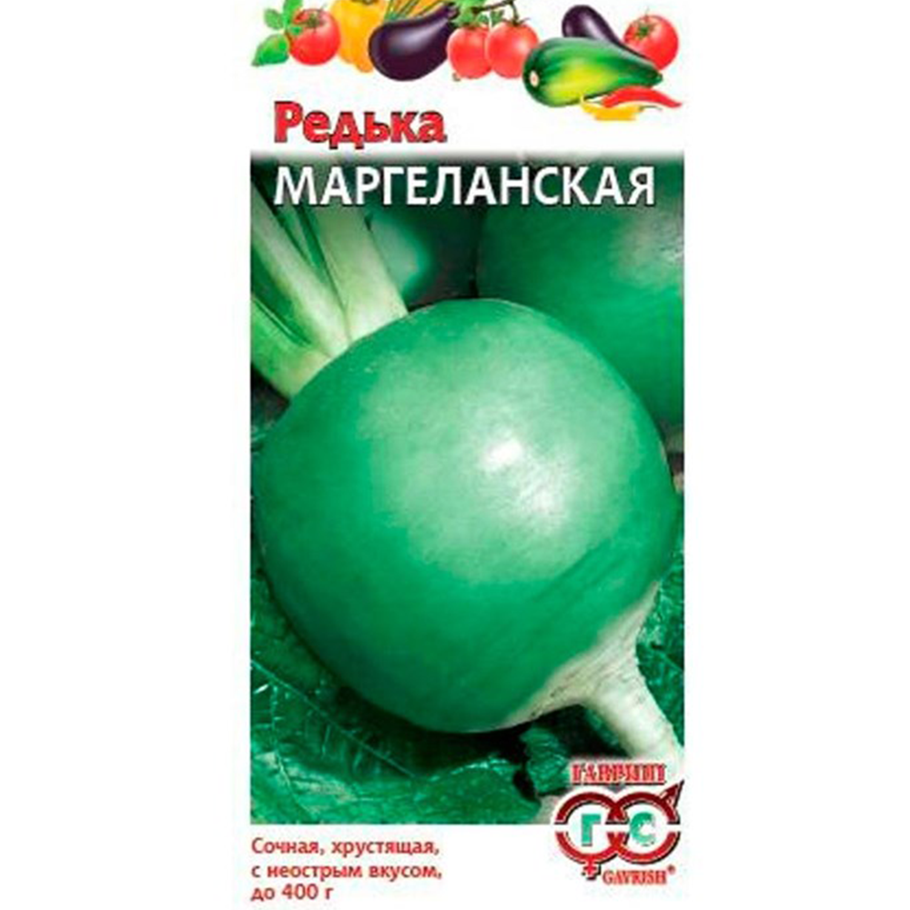 Редька "Маргеланская", Седек