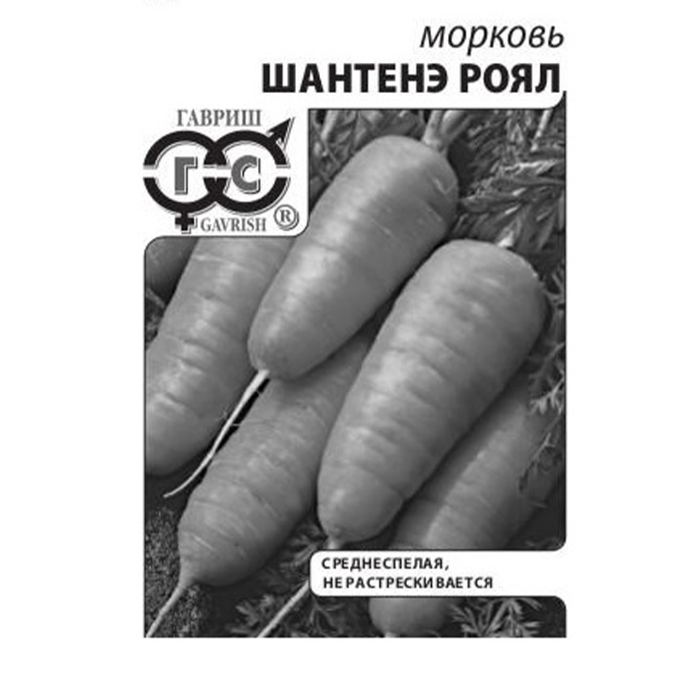 Морковь "Шантанэ Роял", Гавриш, 2 г
